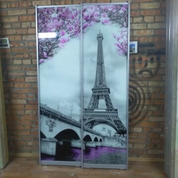 Двери-купе (хром глянец) с фотопечатью