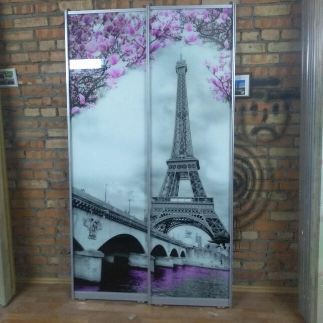 Двери-купе (хром глянец) с фотопечатью