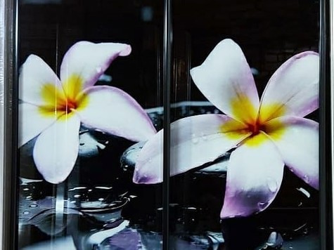 RIAL-СПБ Рамир