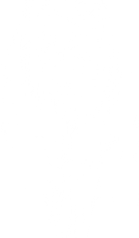 Номенклатура